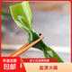 鹽漬海帶結內海原料肉厚軟糯涼拌火鍋煲湯龍須菜海葡萄涼菜海帶苗 鹽漬海帶結精品款500克*1袋