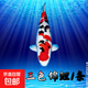 純種錦鯉精品冷水魚(yú)大型昭和招財錦鯉魚(yú)池養殖庭院觀(guān)賞魚(yú)錦鯉 （三色）30-35cm1條 精選發(fā)貨