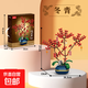 2025年新春花卉積木柿柿如意桃花蝴蝶蘭花束盆栽國潮新年擺件年貨 冬青
