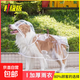 狗狗加厚雨衣泰迪中小型犬柴犬防水透明雨披寵物可牽引雨天衣服 寵物雨衣-白色 XL (建議9-12斤)