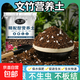 文竹專(zhuān)用土盆栽營(yíng)養土有機土肥料花泥土壤透氣配方養花家用種植土 文竹專(zhuān)用土10升