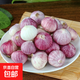 京喜自營(yíng)云南紫皮獨(dú)頭蒜干蒜高原珍珠蒜新鮮蔬菜調(diào)料 精選 1.8斤 單果2cm左右