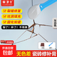 家衛(wèi)士瓷磚修補(bǔ)劑釉面大理石馬桶修復(fù)膏地磚填充破損坑洞裂縫瓷磚膠神器 【灰白色】瓷磚修復(fù)膏（A+B) 【100g】固化如瓷