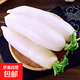 新鮮白蘿卜 現(xiàn)拔 燉湯 腌制 新鮮蔬菜 白蘿卜5斤
