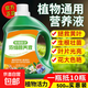營(yíng)養液植物通用型花肥發(fā)財樹(shù)富貴竹綠蘿水培盆栽家用花卉養花肥料 【通用濃縮型】500毫升一瓶