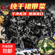 霞浦特產(chǎn)純?nèi)箮Р烁韶洘o沙免洗特干級海帶孕婦海帶兒童低脂肪食材 干裙帶菜50g*1包