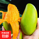 京喜加海南小臺芒果 皮薄肉厚【農家果園現發(fā)】 單果60g+ 2斤裝 帶箱
