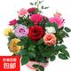 玫瑰花苗老樁特大花花卉綠植物盆栽月季薔薇室內(nèi)外陽臺四季 玫瑰花老樁/顏色混搭5棵