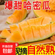 山東哈密瓜新鮮脆甜當(dāng)季西州蜜蜜瓜  孕婦兒童皆宜 3-3.5斤