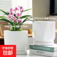 盆生花道花盆陶瓷輕奢特價(jià)清倉(cāng)大號(hào)帶托盤家用吊蘭多肉小花盆特大 兩個(gè)大號(hào)純白絲紋組合