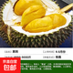 榴蓮樹(shù)果苗南北方種金枕榴蓮正宗廣西嫁接貓山王矮化盆栽水果樹(shù)苗 黑刺榴蓮 7年苗