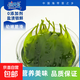 鹽漬海帶苗 霞浦新鮮小海帶 火鍋食材 海帶苗5斤(500g*5袋)