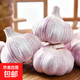 【營田半畝】蒜干蒜頭蒜大蒜紫白皮大蒜當季蔬菜0.5-5斤 2斤帶箱重【果徑3.5-4.5cm】中果