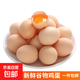 山林散養鮮雞蛋40g枚早餐京東包郵買(mǎi)菜生鮮土雞蛋溏心蛋水煮蛋 12枚 40g