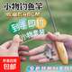 小物釣魚竿套裝便攜式魚竿超短節(jié)溪流竿兒童釣魚竿微物釣小魚手竿 1.2m （單支魚竿-活動款）