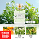 煙雨茉莉香水梔子花女士淡香體香持久留香自然清新迷人學(xué)生黨室內(nèi) 茉莉