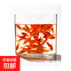 金魚(yú)草金魚(yú)觀(guān)賞魚(yú)冷水好養耐活小魚(yú)苗錦鯉 5-7cm 紅草金買(mǎi)3條送3條（加備損）