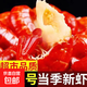 甑禮特大號(hào)龍蝦尾冷凍小龍蝦蝦球小海鮮固形物70% 特大4袋共4斤（固形物70%）