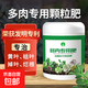 多肉肥料專用肥多肉專用營(yíng)養(yǎng)液多肉專用肥料控釋肥營(yíng)養(yǎng)顆粒肥 2瓶多肉專用顆粒肥500g