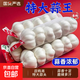 山東金鄉(xiāng)蒜大蒜出口標(biāo)準(zhǔn)精選大蒜頭蔬菜調(diào)料單果5cm 出口標(biāo)準(zhǔn)網(wǎng)兜裝箱 455g 5-5.5cm特大