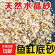 天然河砂水晶沙盆栽多肉鋪面魚缸底砂烏龜缸鋪底水族箱造景沙 2-3毫米水晶河沙5斤裝(超值劃算)