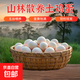 京喜加土雞蛋 新鮮雞蛋 山林自養(yǎng)雞蛋40g正負5g早餐買菜溏心蛋京東包郵 鮮雞蛋10枚