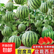 超甜蜂蜜小西瓜種子紅玉無籽小西瓜四季種植陽臺(tái)庭院盆栽水果種子 蜂蜜盆栽小西瓜種子/包約50粒 1包