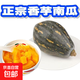 吸收廣東大山日夜精華的正宗香芋南瓜口感糯香細(xì)膩營養(yǎng)豐富食用廣 山泉水種植美味南瓜帶箱5.5— 6斤 味道糯香口感細(xì)膩