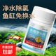 高級凈水片凈水王魚(yú)缸水族箱凈化水渾濁綠水臟除腥臭味過(guò)濾免換水 【除臭去腥凈化水質(zhì)100片】1瓶