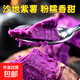 精品紫羅蘭紫薯大果新鮮紅薯地瓜農(nóng)家紅薯 2斤 含箱 小果蒸煮食用