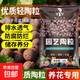 陶粒墊底盆栽多肉營養(yǎng)土養(yǎng)花專用魚缸水培透氣回填花盆彩色鋪面石 優(yōu)質(zhì)陶粒中號1-1.5cm【1升】