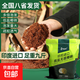 9斤大塊進(jìn)口椰磚營養(yǎng)土通用型種菜養(yǎng)花椰土椰糠種植土脫鹽椰糠磚 進(jìn)口大椰磚9斤*5塊