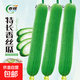春蝶蔬菜種子四季播盆栽陽(yáng)臺庭院辣椒葫蘆甜瓜肉絲掛蘿卜易種籽孑 特長(cháng)香絲瓜【原裝1包 約20?！?一包(試種)