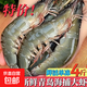 大蝦冷凍蝦青島生鮮海捕蝦類(lèi)水產(chǎn)鮮活速凍海蝦對蝦白蝦 海捕大蝦 2.8斤(凈重)  （60/70）