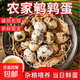 【健康營(yíng)養】新鮮鵪鶉蛋雜糧喂養現撿個(gè)大高蛋白生鮮超市整箱批發(fā) 新鮮鵪鶉蛋25枚