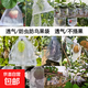 紗袋水果套袋果實(shí)網(wǎng)袋番茄葡萄無(wú)花果草莓防蟲(chóng)防鳥(niǎo)保護袋透氣網(wǎng)套 20x30cm /20個(gè)（葡萄、火龍果）
