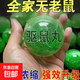 強力老鼠驅趕神器克星臭丸樟腦丸防老鼠滅鼠家用藥室內一窩端驅鼠 升級二代強效趨避丸【10?！? title=