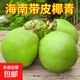 海南新鮮帶皮青椰子汁水多孕婦補(bǔ)羊水椰青現(xiàn)摘現(xiàn)發(fā) 帶皮椰子6個(gè)裝 【冰鎮(zhèn)口感更佳】