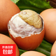 鳳凰蛋活珠子毛雞蛋雞蛋胚蛋13天活珠子五香味真空即食生鮮包郵 活珠子20枚 五香味