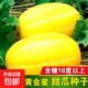 黃金密甜瓜種籽香瓜密種子黃金道水果早熟高產(chǎn)抗病特大春季瓜果籽 黃金密種子/包約100粒 1包