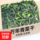 萬(wàn)年青新貨萬(wàn)年青干菜嫩菜脫水蔬菜干青菜干橄欖菜干貨心野菜干 萬(wàn)年青【脫水蔬菜】 500g
