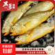 【黑哥海鮮】舟山特產(chǎn)深海流網(wǎng)黃魚(yú)黃花魚(yú)急凍鎖鮮無(wú)冰11-13條/斤 2000g舟山小黃魚(yú)（11-13條/斤）