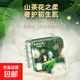 布班迪紙尿褲花芯褲新生兒拉拉褲一體全包臀學(xué)步褲男女寶山茶花 紙尿褲XL碼26片【12-17kg】