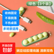 【京東物流】桌面固定理線器 硅膠電線整理收納集線器自粘繞線器數(shù)據(jù)線纏線器 綠色-3個(gè)裝
