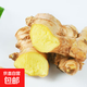 云南農(nóng)家自種小黃姜生姜新鮮老姜土姜產(chǎn)地直發(fā) 凈重 2.8斤 云南小黃姜產(chǎn)地直發(fā)