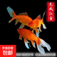 黃金龍鳳錦鯉白金烏金錦鯉大型觀賞魚好養(yǎng)耐活淡水金魚活魚草金魚 【10-12cm】紅金龍鳳錦鯽 5條
