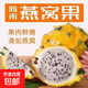 海南麒麟果燕窩果應(yīng)季孕婦水果黃皮白心火龍果熱帶水果禮盒 帶箱4斤 單果150g+