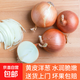 新鮮黃洋蔥便宜大個(gè)蔥頭超市生鮮批發(fā)沙拉生甜直播間 黃洋蔥 1斤