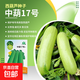 大白菜種子空心菜生菜奶油小白菜紅心胡蘿卜西葫蘆農科院蔬菜籽孑 中葫17號西葫蘆 1克
