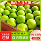 上海發(fā)貨新西蘭進(jìn)口青蘋果酸甜脆口肉嫩青蛇果孕媽新鮮水果當(dāng)季 實(shí)惠中果（單果150-170g） 【劃算】12顆